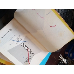 Sống: Tình yêu tự do đầu tiên và cuối cùng - Osho 972780