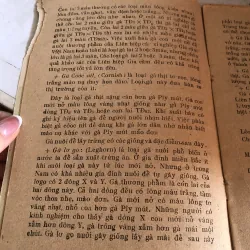 Úm gà con - Đào Đức Long 992598