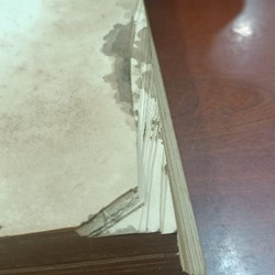 CÂY CỎ MIỀN NAM VIỆT NAM - Phạm Hoàng Hộ 194860