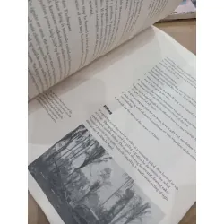 The clearing of land for development 703660