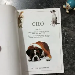 Sách Bách Khoa Tri Thức Bằng Hình: Loài Chó (NXB Kim Đồng) 1007223