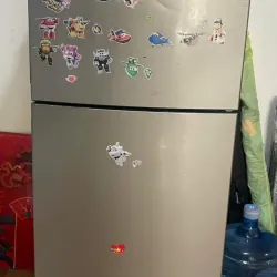 Tủ Lạnh Electrolux 