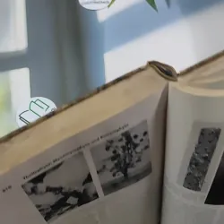 [MIỄN PHÍ BỌC SÁCH] The Plant World - Harry J. Fuller 750801