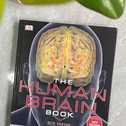 The human brain book 313071