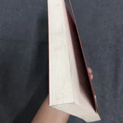 Tiểu sử và hành trạng các nhà khoa bảng Hán học Nam Bộ - Nguyễn Đình Tư 749134