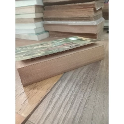 Forêt vierge - Ferreira de Castro 1011034