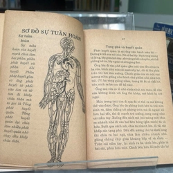 VIỆT NAM Y HỌC THỰC NGHIỆM- ĐỖ PHONG THUẦN 552976