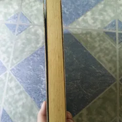 Hạc vừa bay vừa kêu thảng thốt - Nguyễn Huy Thiệp 776902