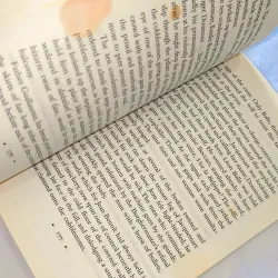 Literary / Psychological Fiction – Anita Shreve | RESISTANCE (bị bẩn vài trang) 749570