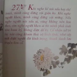 101 đóa sen- Thông điệp của sự bình an Pháp Chơn Tử 576224