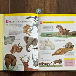 [Bìa cứng] DANGEROUS ANIMALS (A Child’s First Library of Learning) 224341