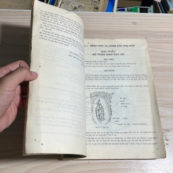 II Sách Y Học: Bệnh Học Và Chăm Sóc Phụ Sản Nhi Khoa (Sách Khổ Lớn) - 1995 548677