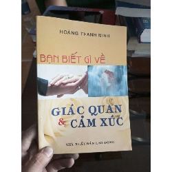(Sách cũ SCGR) Bạn biết gì về giác quan và cảm xúc - Thanh Minh 2005 VAVO-A0 Blogmeo090426