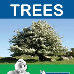 i-SPY Trees (Michelin i-SPY Guides) 11546