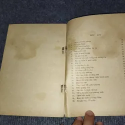 TIẾNG ĐÀN TA LƯ - TẬP BÀI HÁT CỦA HUY THỤC 991109