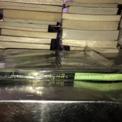 Một đêm duy nhất - Rabindranath Tagore 1027053