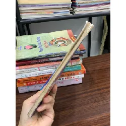 Bệnh lao – T.S. Đỗ Thị Tường Oanh 591648