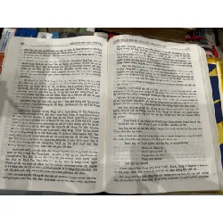 Việt Sử cương mục thiết yếu - Đặng Xuân Bảng 629008