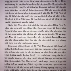 Lịch sử Việt Nam giản yếu 740447