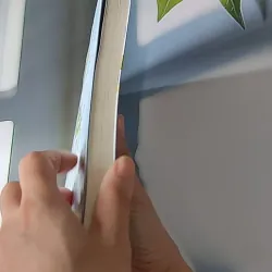 Bí Mật Thanh Xuân - Nhiêu Tuyết Mạn 607690