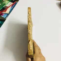 THẰNG NGƯỜI GỖ (Les aventures de Pinocchio) 1952 795545