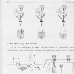 Hoa (Thế giới quanh ta) 674770