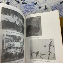 Chân Dung Người Hoa Ở Tp. Hồ Chí Minh - Lý Lan 927522