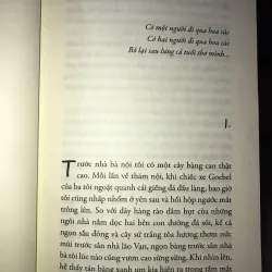 Đi qua hoa cúc - Nguyễn Nhật Ánh 995982