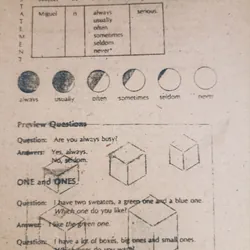 New English 900 🌻 564950