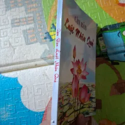 Căn Bản Luật Nhân Quả 796169