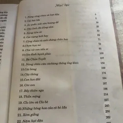 Truyện cổ Andersen 784595