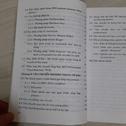 Sinh học phân tử  325240