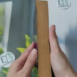 [XƯA] Wild Magic (1992) - Tamora Pierce 1027574