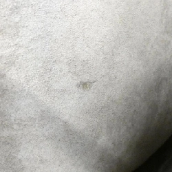 Bottega Veneta 115654 V0041 Túi đeo vai 612675