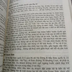 NON NƯỚC VIỆT NAM 731562