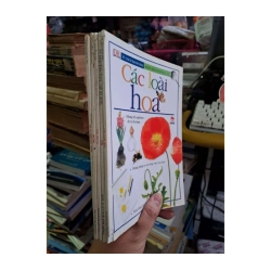 Các loài hoa, cá, côn trùng, bướm, đá và khoáng chất -