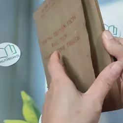 Những Truyện Tích Đầu Tiên Trong Kinh Thánh - Hội Thánh Tin Lành 775990