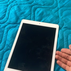 Ipad pro 9,7inch 256g có 4g