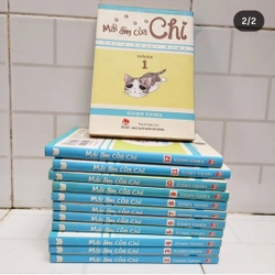 Mái ấm của Chi (bộ 12 tập) / Chi's sweet home 496637