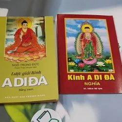 Lược Giải Kinh A Di Đà (Tặng Kinh A Di Đà Nghĩa) - Ngô Trọng Đức 776118