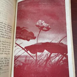 Ca dao giảng luận - Thuần Phong 703330