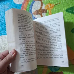 Bông Hồng Vàng 976118