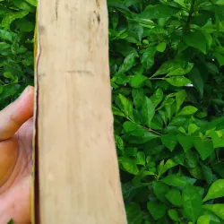 Fire in the lake của Frances Fitzgerrald  1001282