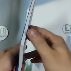 Bông Lục Bình - Mạnh Hà 798483