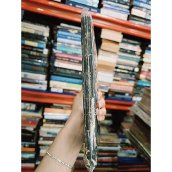 Bay quanh mặt trăng - Jules Verne 308819