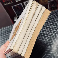 Combo 5c Bùi Giáng 693513