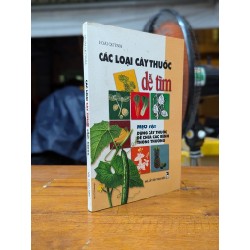 Các loại cây thuốc dễ tìm - Hoài Quỳnh