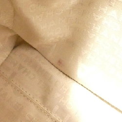 Túi xách chéo Chanel 28573 613581