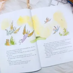 SÁCH - ROALD DAHL-PHIÊN BẢN ĐẶC BIỆT KHỔ TO A4 FULL MÀU - 20 cuốn 1000794