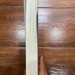Tiểu thuyết lịch sử của Nguyễn Triệu Luật (t4) 468007